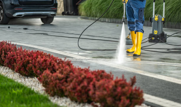 Best Dumpster Area Cleaning  in Essex Fells, NJ